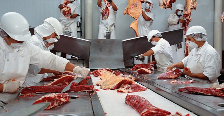 Meat processing plant, slaughterhouse, beef industry