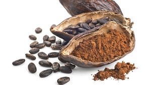 By the numbers: Counting cocoa’s cost