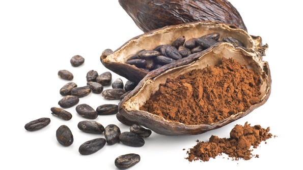 By the numbers: Counting cocoa’s cost By the numbers: Counting cocoa’s cost
