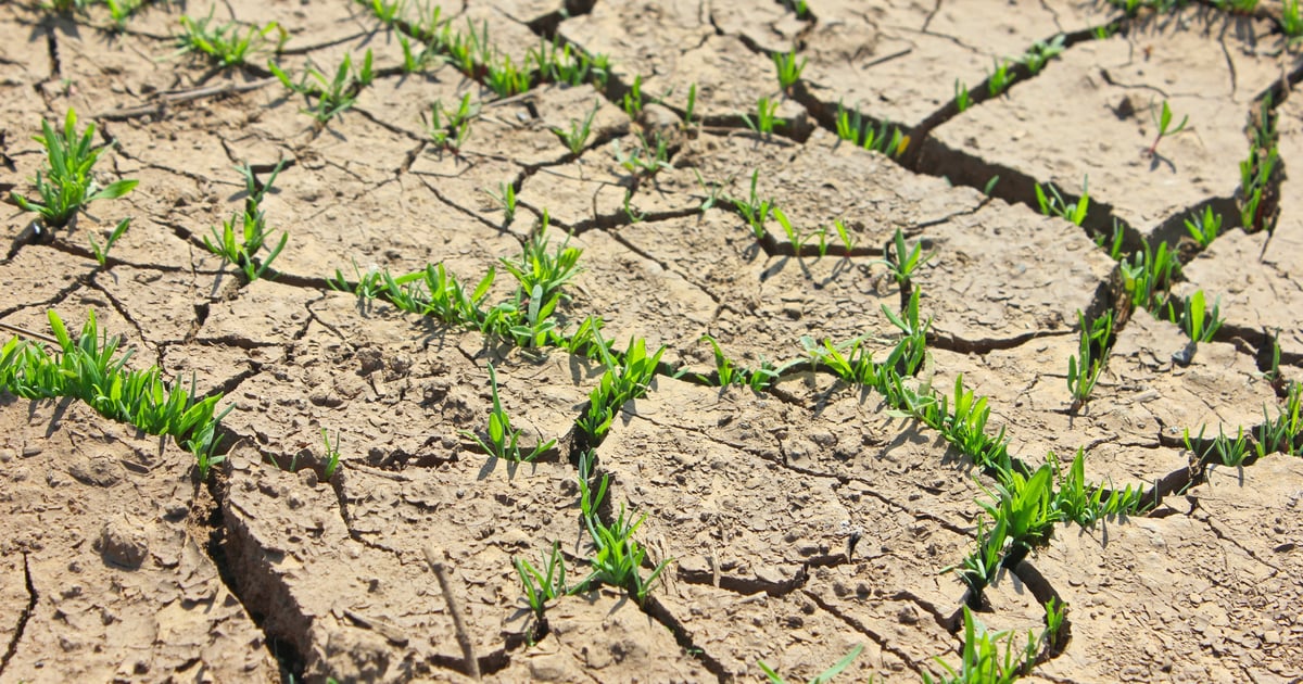 Material Disruption Examples Raw material disruptions can ruin the best-laid plans