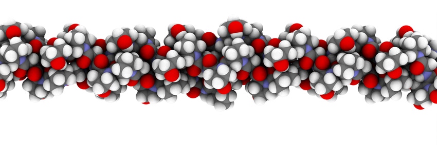 UC-II Undenatured type II collagen mechanism of action — white paper
