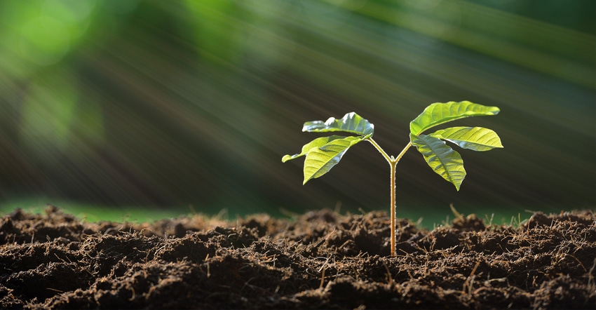 regenerative agriculture regenerative agriculture