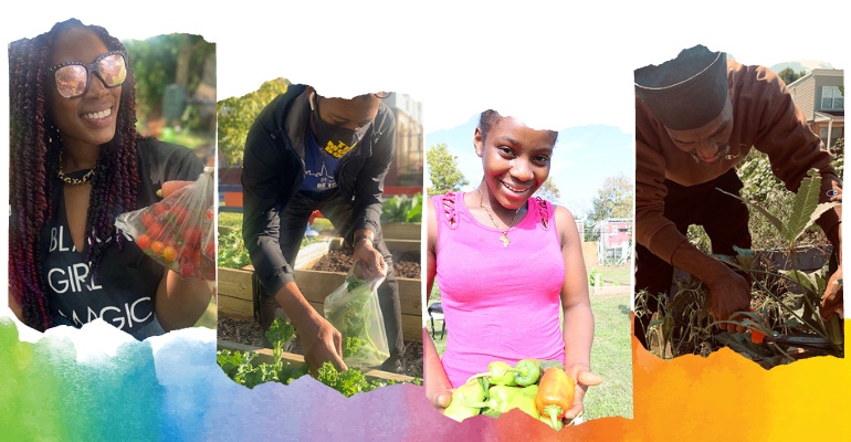 Philly Peace Park cultivates healthy food, community