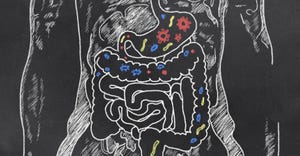 Gut microbiome influences how the body reacts to food