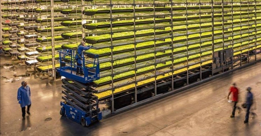 AeroFarms indoor vertical farm AeroFarms indoor vertical farm