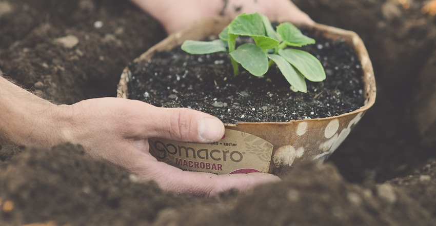 GoMacro grows close to its family farm roots GoMacro grows close to its family farm roots