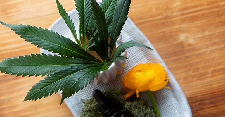 47 percent of consumers are familiar with CBD 47 percent of consumers are familiar with CBD