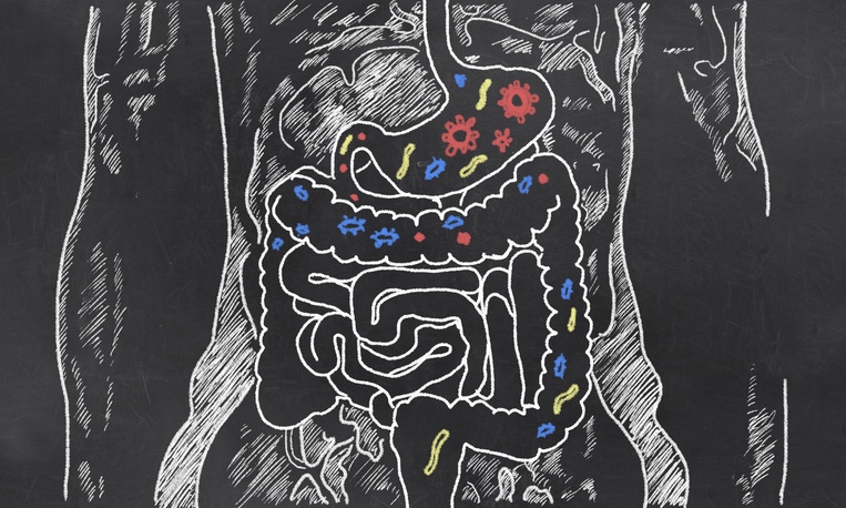 Consumers interested in gut microbiome but lack understanding
