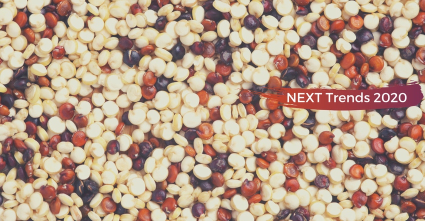 Quinoa Quinoa