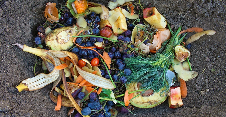 food-waste-farms.jpg