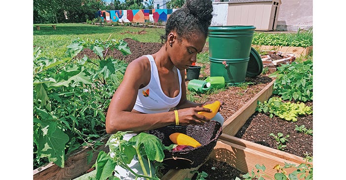Philly Peace Park cultivates healthy food, community