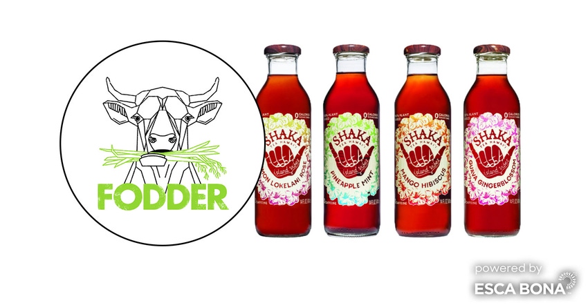 011-fodder-shaka-tea-promo.jpg 011-fodder-shaka-tea-promo.jpg