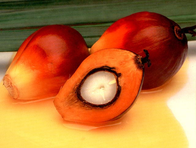P&G upgrades palm oil policy