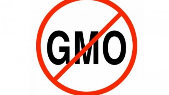 GMO Inside applauds Chobani ouster