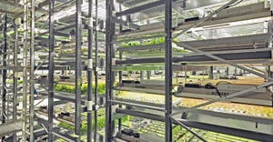 bowery farming grow room
