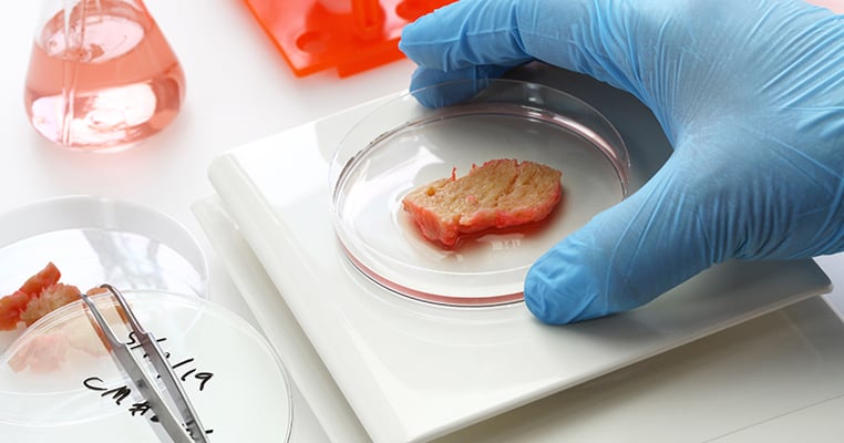 5@5: Cell-cultured meat labeling | Automation in processing plants