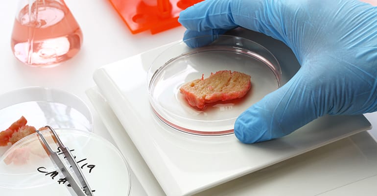 Bioengineering Meat 5@5: Cell-cultured meat labeling | Automation in processing plants