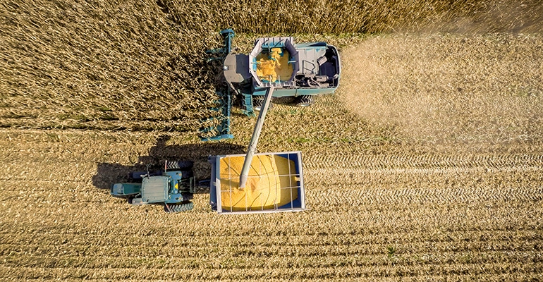 harvesting-getty-promo.jpg harvesting-getty-promo.jpg