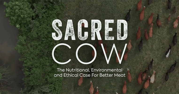 Sacred Cow seeks to right the debate on animal agriculture