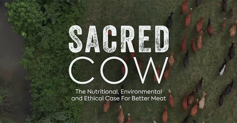 sacred cow movie