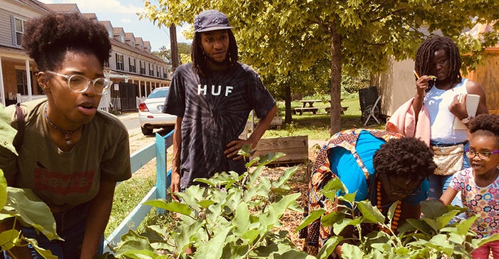 Philly Peace Park cultivates healthy food, community