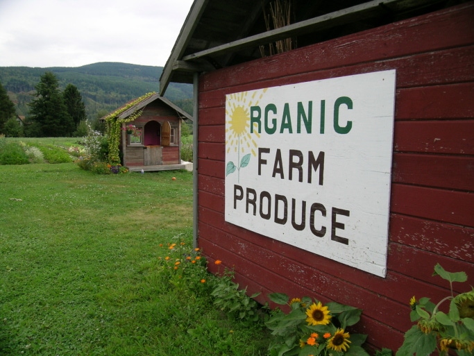 5@5: Double-digit growth for organic farm certification | Top causes of foodborne illness