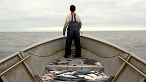 Standing on a small boat, a man looks to the sea with his back turned to the camera. The boat has a few fish in it.  Standing on a small boat, a man looks to the sea with his back turned to the camera. The boat has a few fish in it.