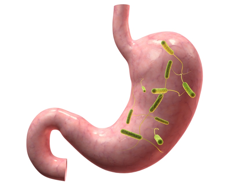 Marketing the Microbiome Marketing the Microbiome