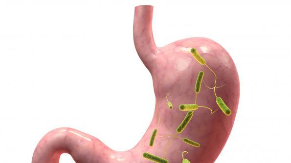 Nestle Health Sciences goes big in microbiome research Nestle Health Sciences goes big in microbiome research