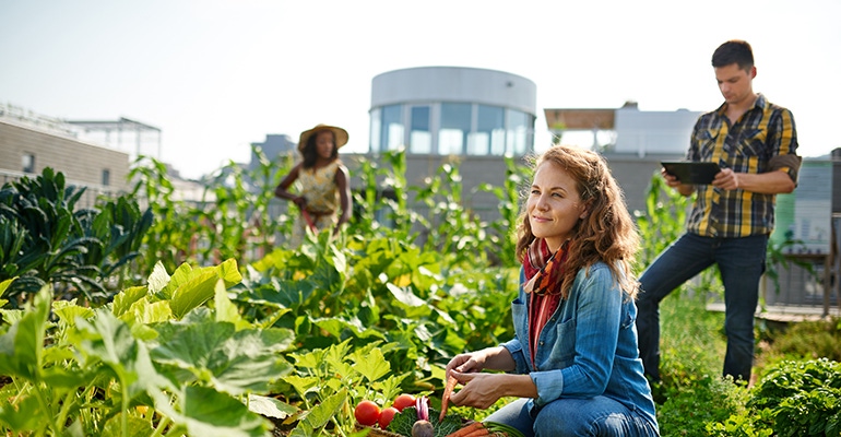 rooftop-farming.jpg rooftop-farming.jpg
