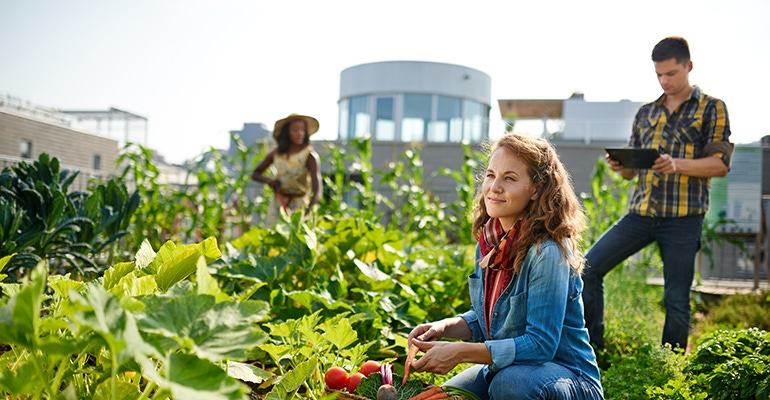 rooftop-farming.jpg