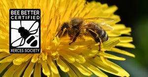 Bee Better Certified seal could help consumers make pollinator-friendly choices