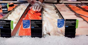 sustainable seafood grocery store