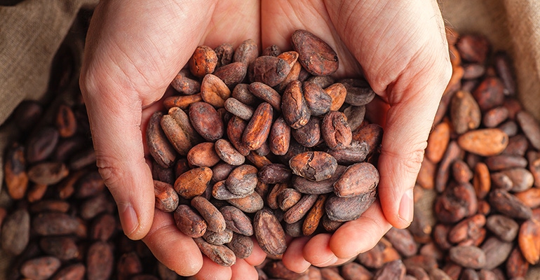 cocoa-beans.jpg