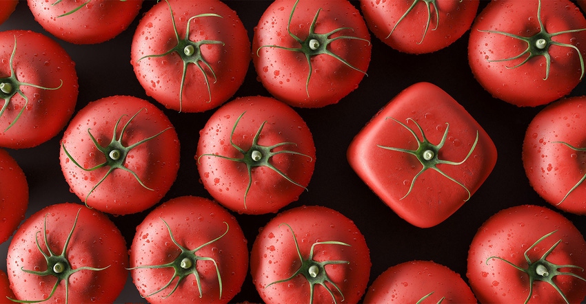 From the ground up: The Non-GMO Project zeroes in on a new target From the ground up: The Non-GMO Project zeroes in on a new target