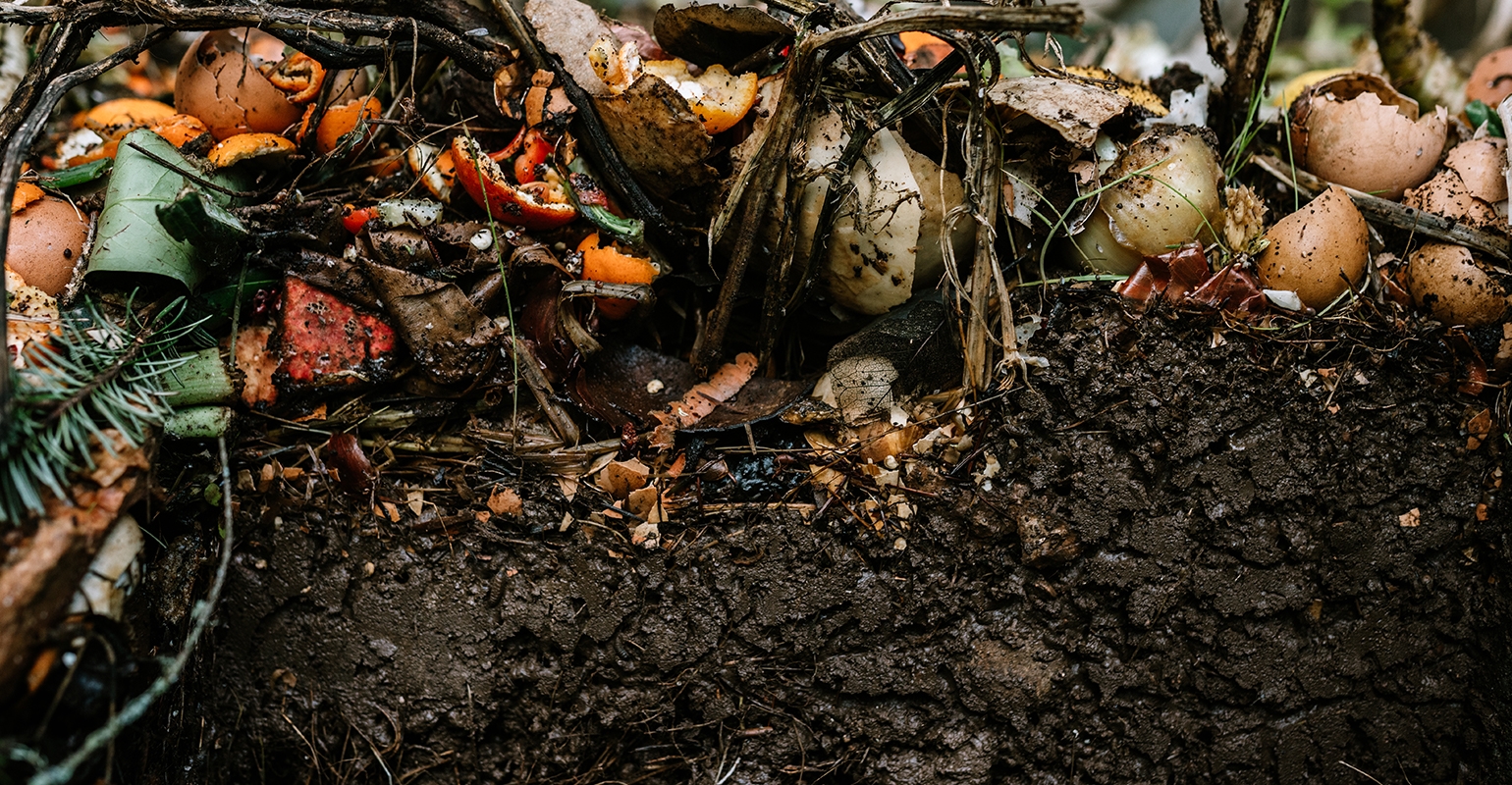 The Case For Composting [infographic]