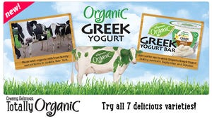 Breaking down the Wegmans Organic Greek Yogurt launch