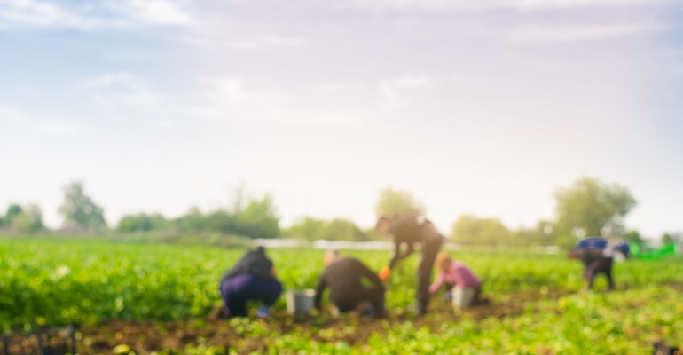 farmworkers farmworkers