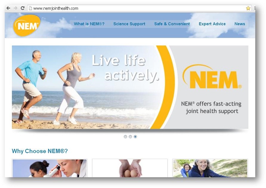 ESM launches NEM website