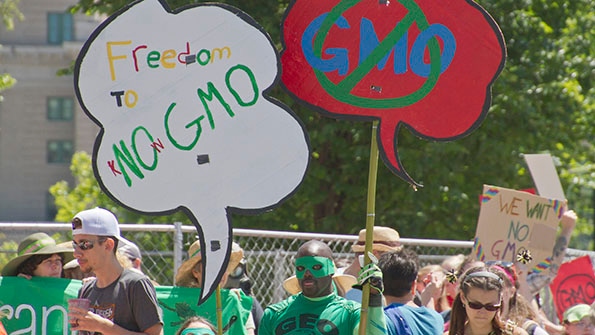 U.S. leads surge in GMO-free labeling