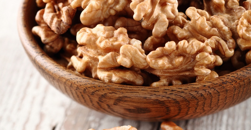 Survey: Americans excited to try walnuts, mushrooms, legumes in meatless meals