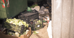 Retail food waste solutions represent an $18B opportunity