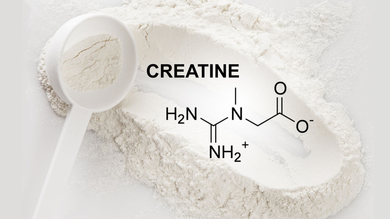 creatine supplement powder supports muscle building