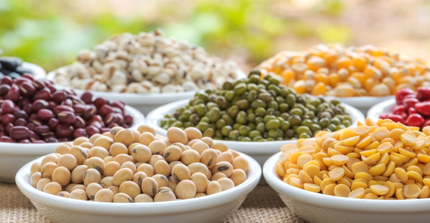 How to disrupt the plant-based foods marketplace How to disrupt the plant-based foods marketplace