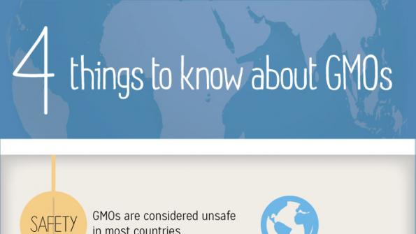Infographic: 4 bite-sized things to know about GMOs
