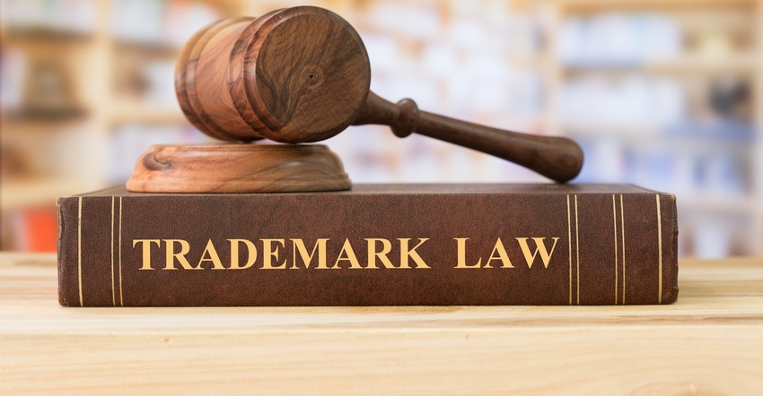 Trademark law book and gavel