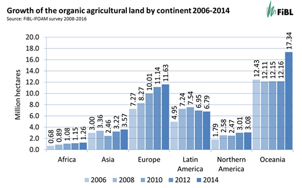 Global organic growth: The good news story