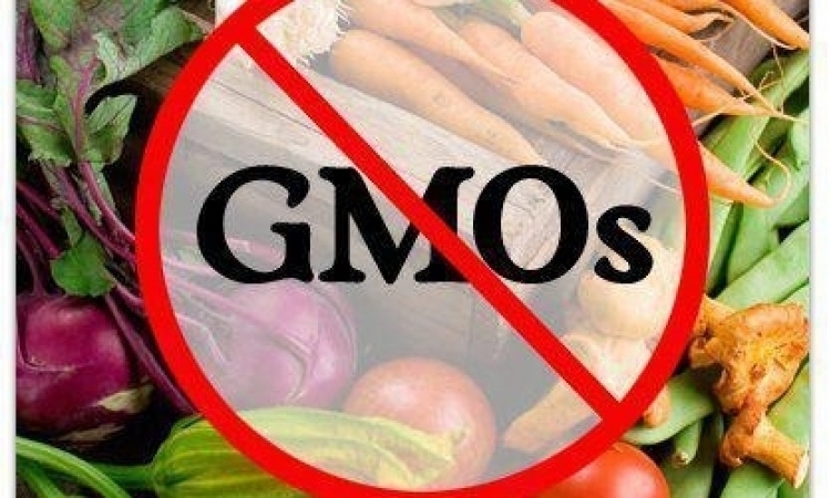 MoveOn launches GMO labeling campaigns in 47 states