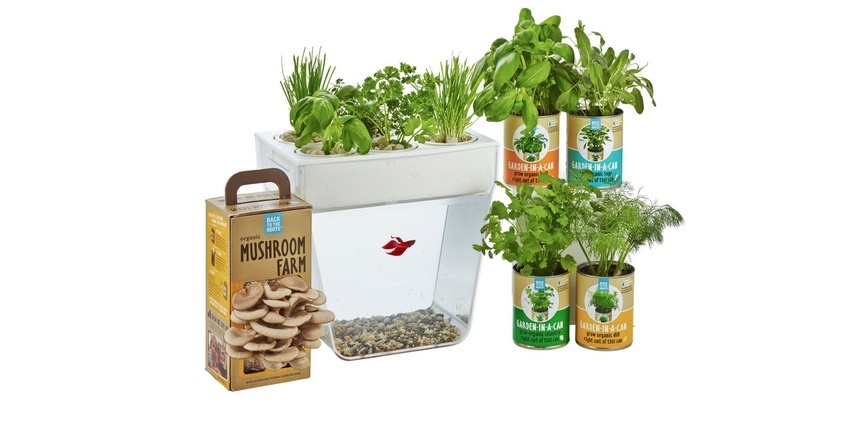 Could indoor gardening be the next hot grocery category? Could indoor gardening be the next hot grocery category?