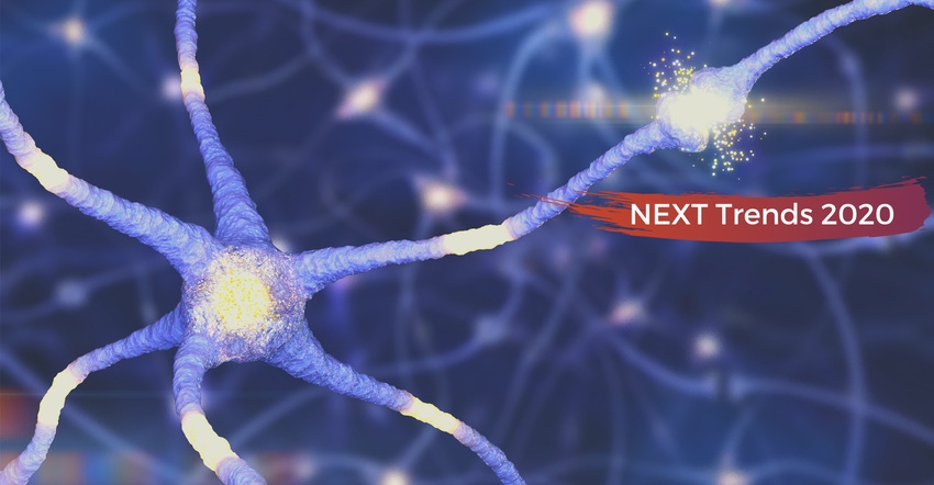 Brain synapses Brain synapses